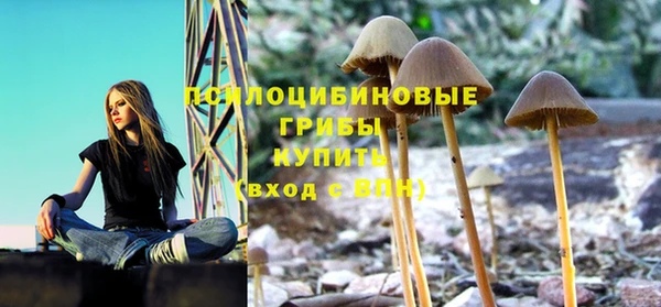 Альфа ПВП Сатка